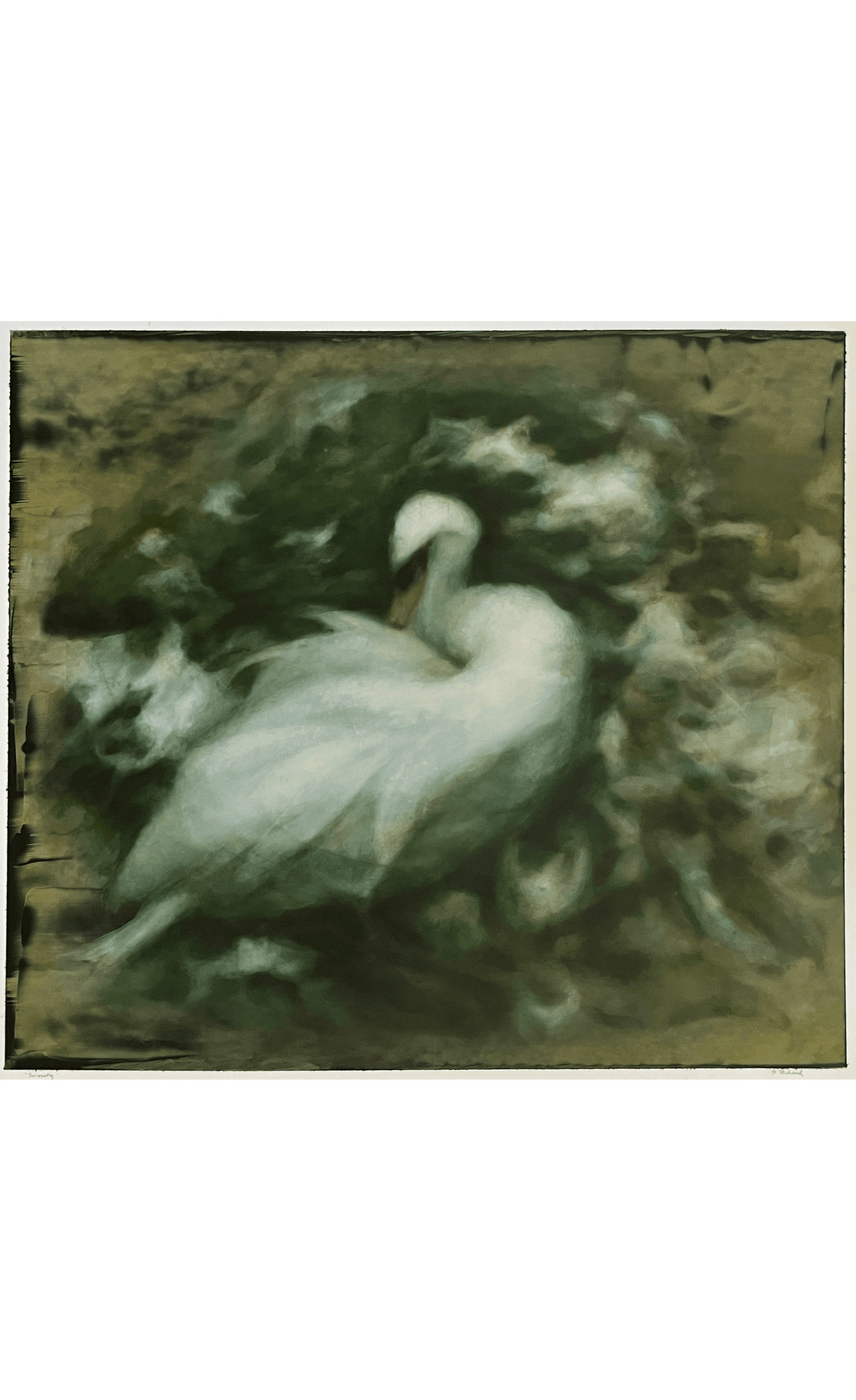 Cloud Gazing — photo 1